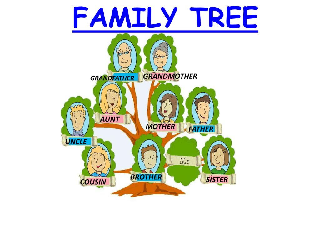 Английский язык brother. My Family дерево семейное. Тема семья. Дерево my Family Tree. Семейное Древо по английскому языку.