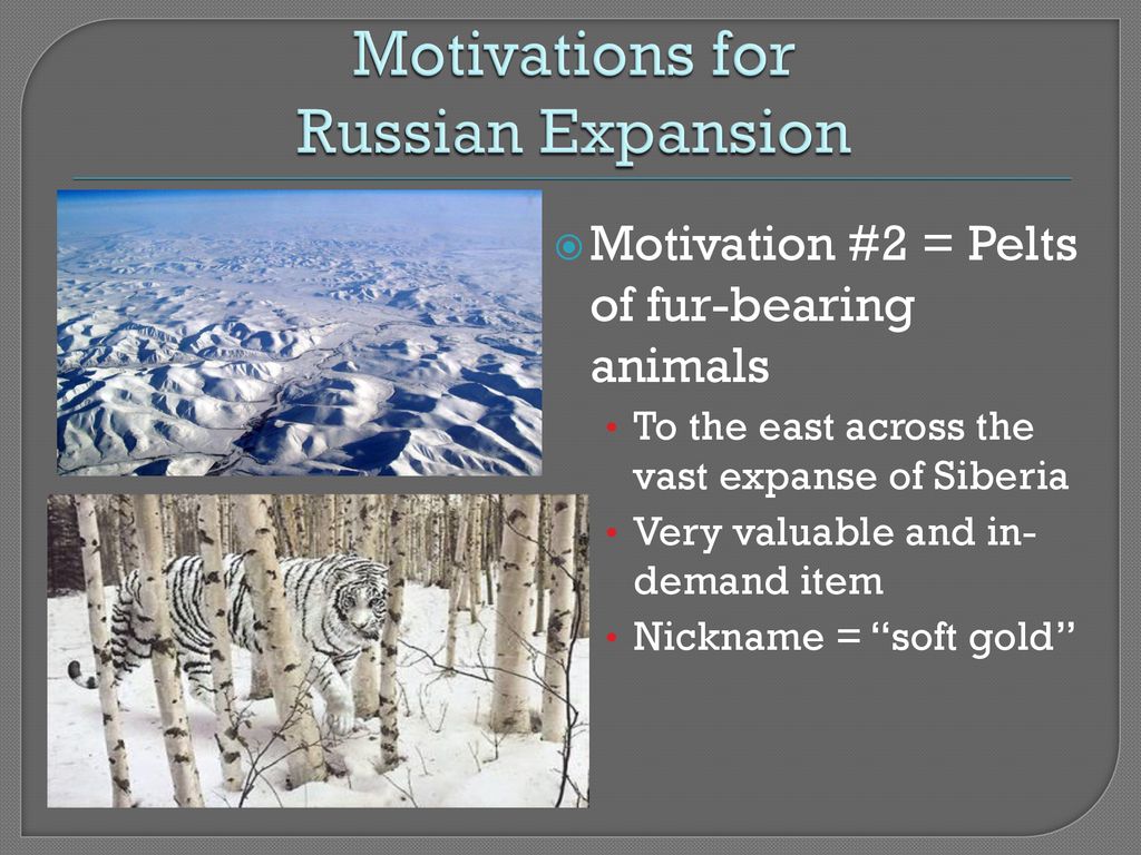 Motivations for Russian Expansion