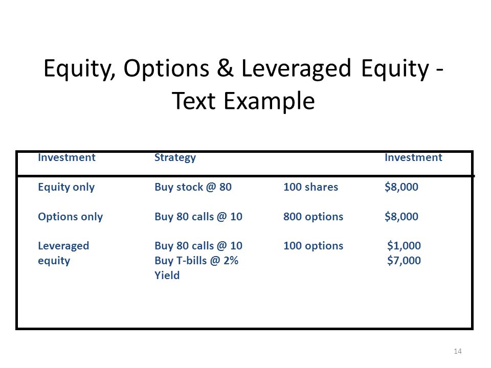 Equity, Options & Leveraged Equity - Text Example