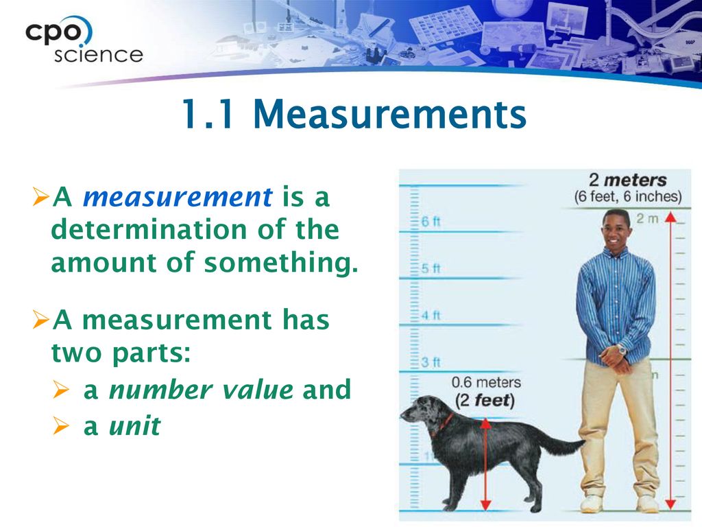 MEASUREMENT ppt download MEASUREMENT ppt download