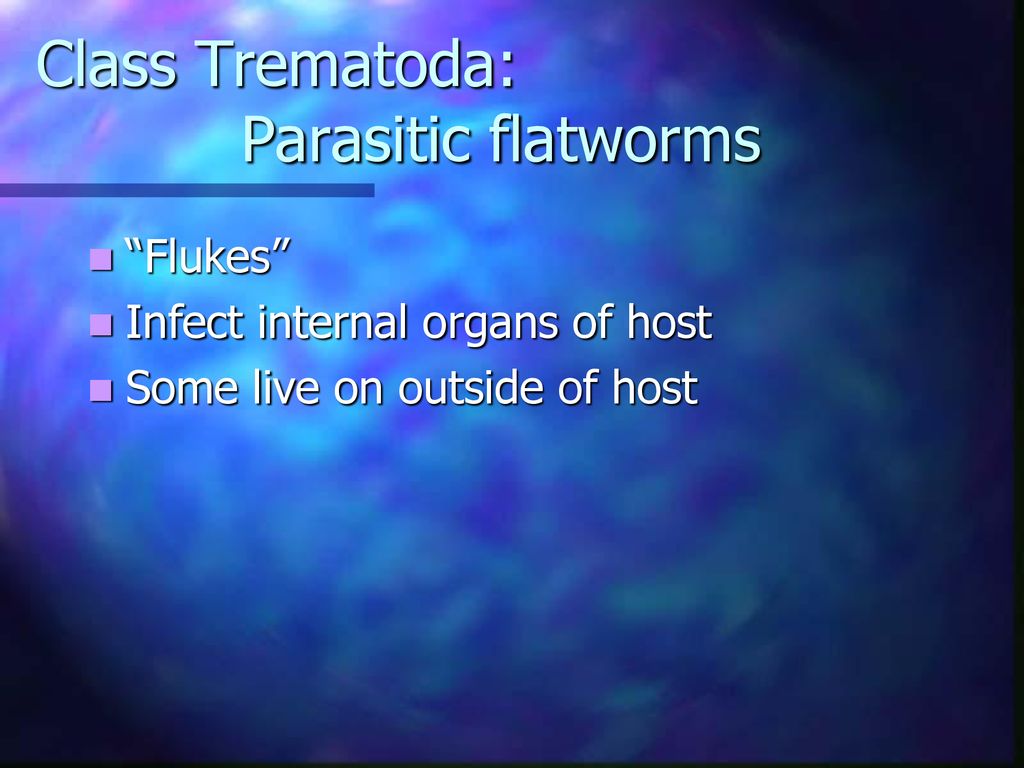 Class Trematoda: Parasitic flatworms