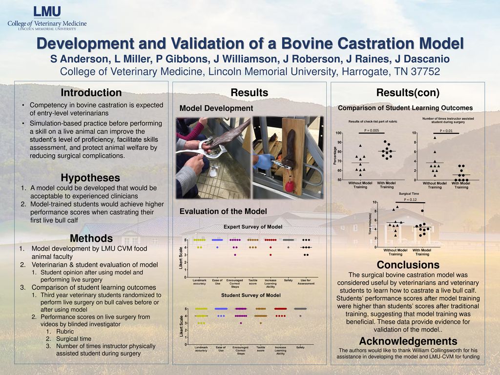 Development And Validation Of A Bovine Castration Model Ppt Download