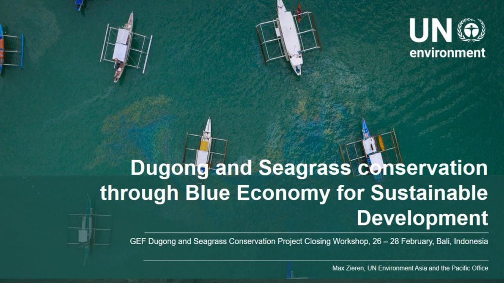 Dugong and Seagrass conservation through Blue Economy for Sustainable Development