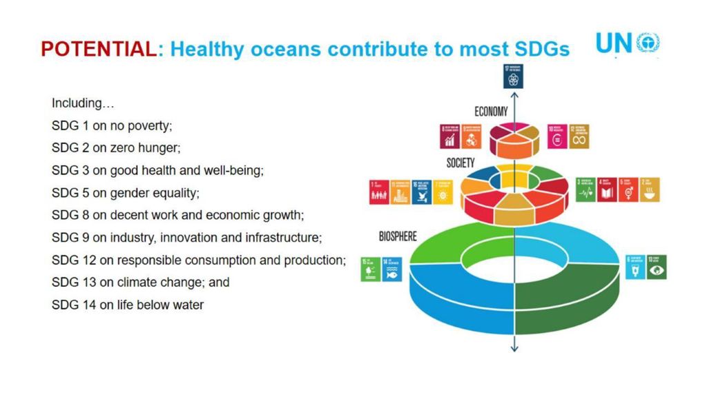 POTENTIAL: Healthy oceans contribute to most SDGs