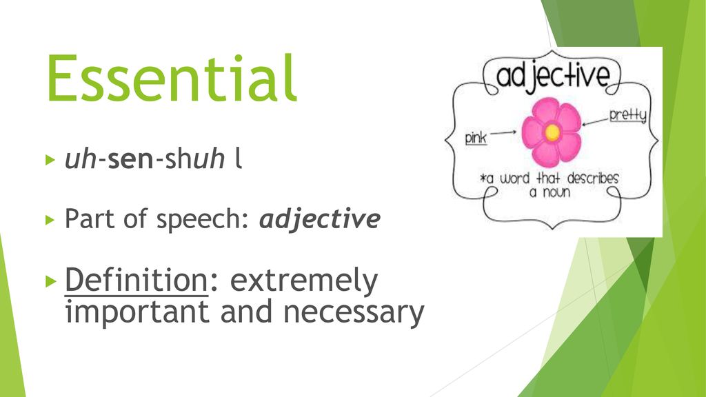The Word of the Week is Essential - ppt download