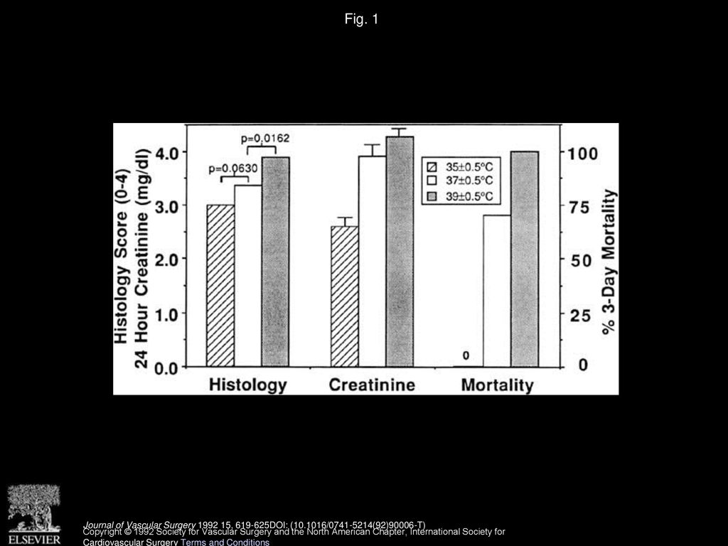 Fig. 1 Summary of histopathologic grades, 24-hour creatinine levels, and 3-day mortality rates for all temperature groups (35° C, 37° C, 39° C).