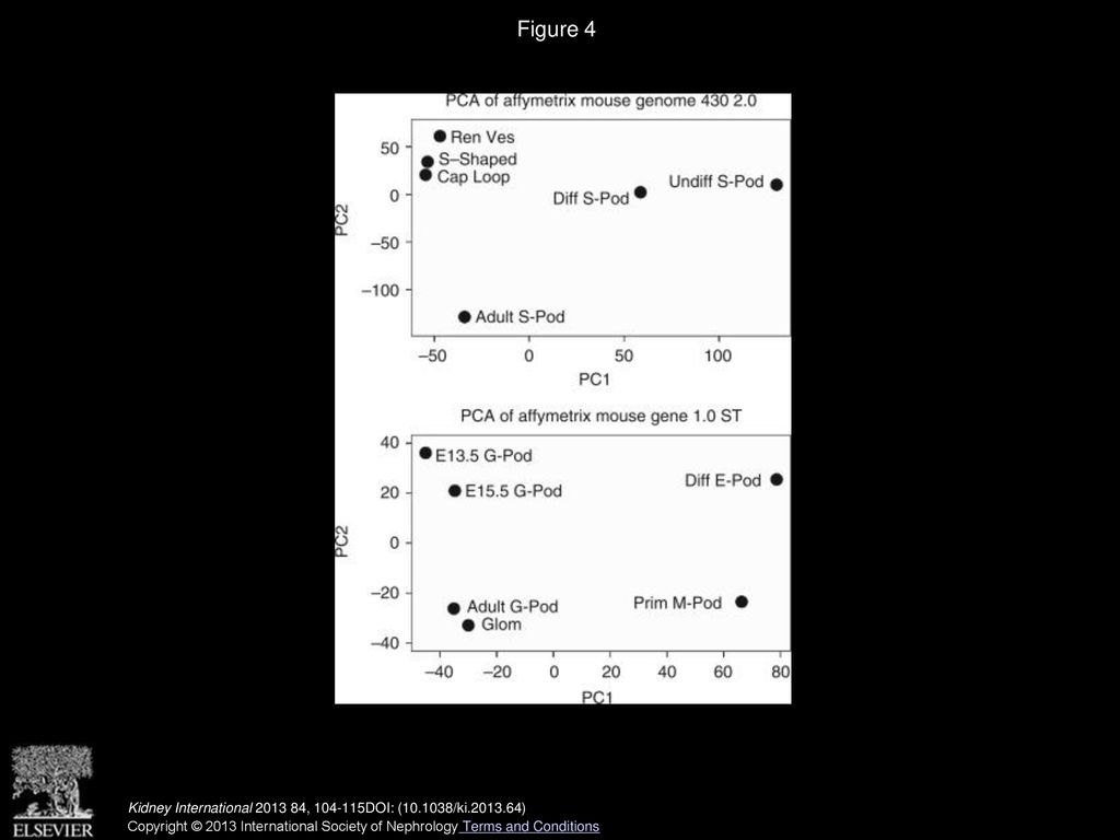 Podnet a protein protein interaction network of the podocyte ppt