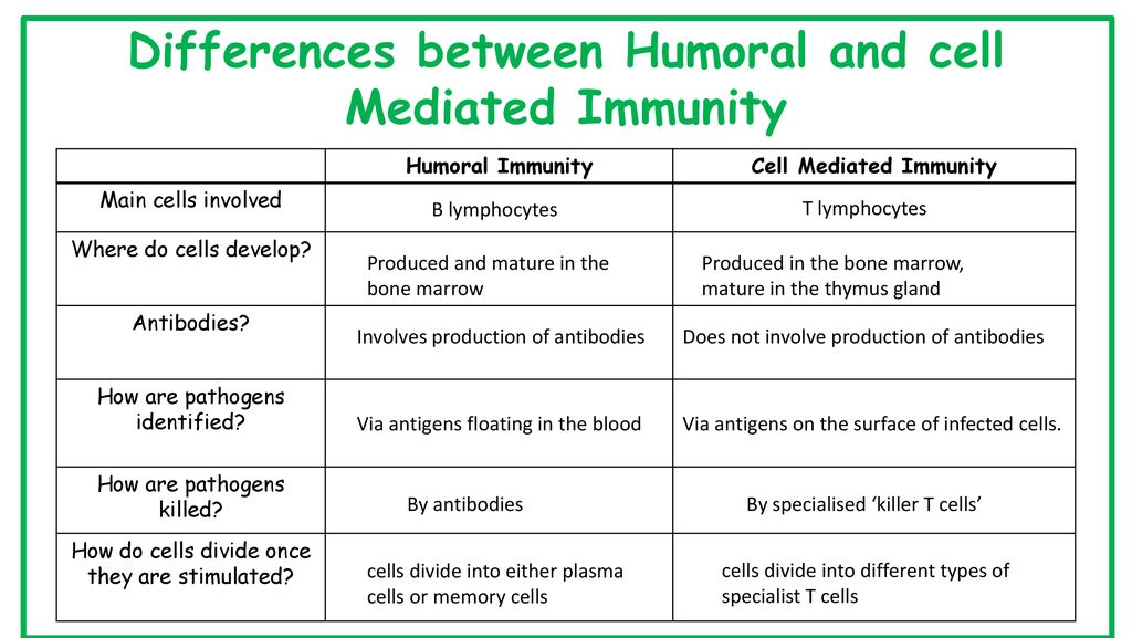 Differences between Humoral and cell Mediated Immunity.