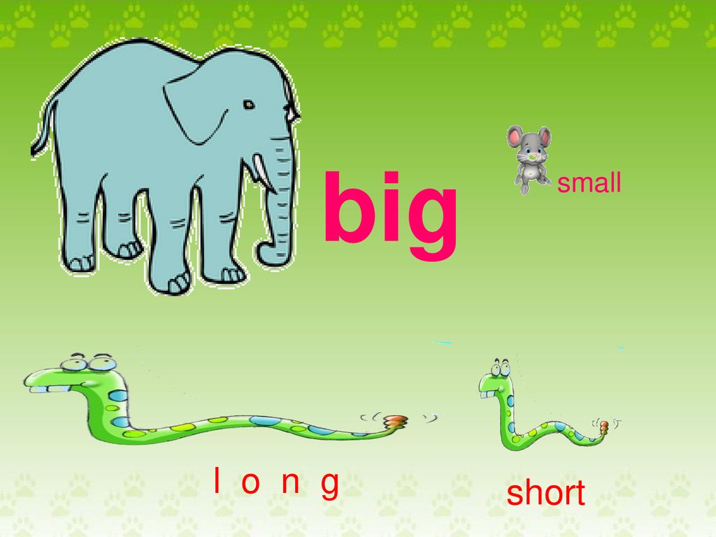 Big,Small, Long, Short worksheet