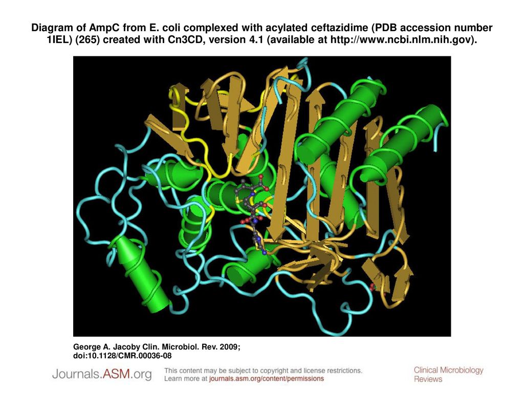 Diagram of AmpC from E. coli complexed with acylated ceftazidime (PDB accession number 1IEL) (265) created with Cn3CD, version 4.1 (available at