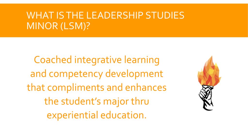 Advising for the Leadership Studies Minor - ppt download