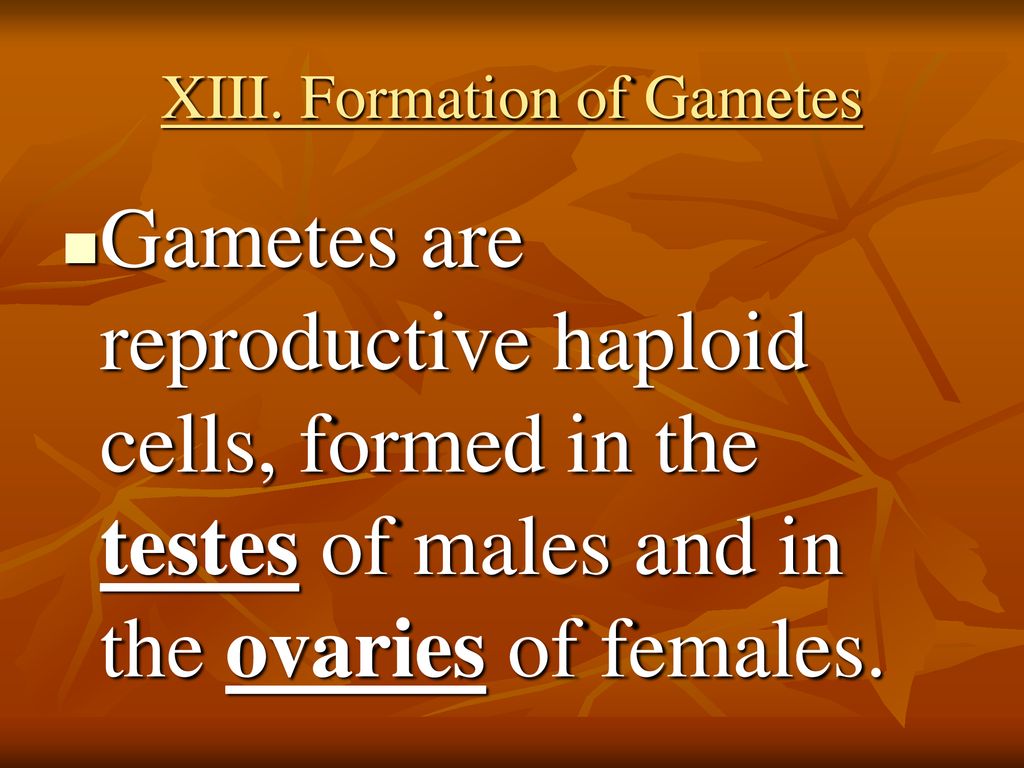 Meiosis Chapter 11 Section 114 Biology Diagrams