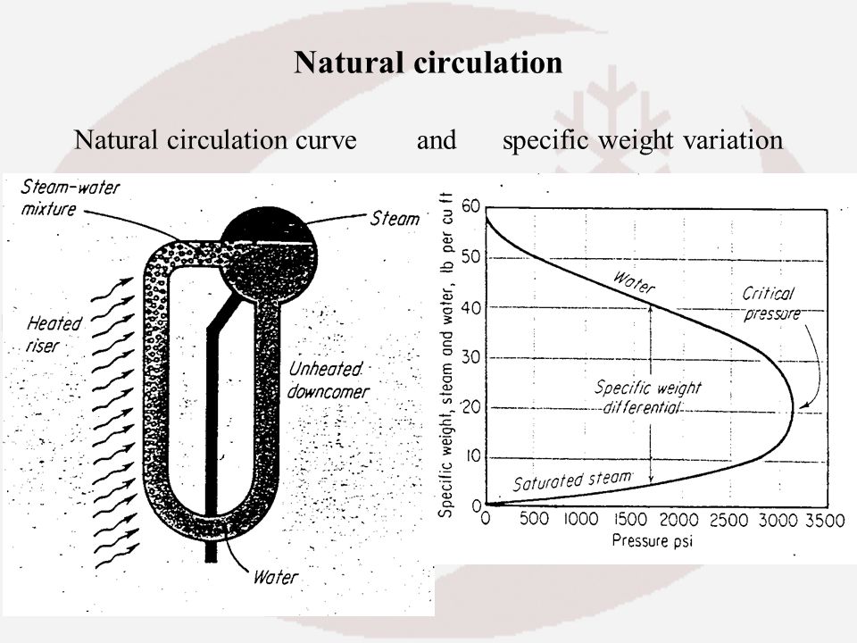 Pressure steam. Natural Convection circulation. Natural circulation heating. Circulation воды слово. Circulation nature.