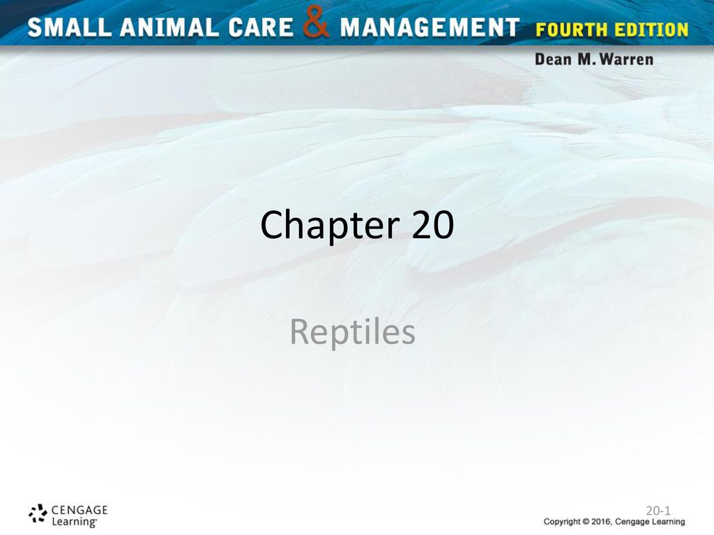 Chapter 20 Reptiles