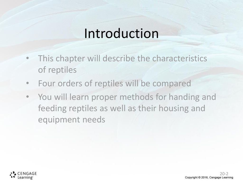 Introduction This chapter will describe the characteristics of reptiles. Four orders of reptiles will be compared.
