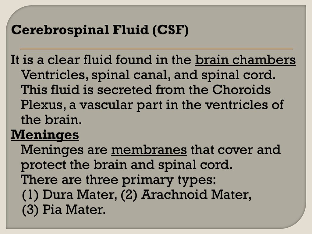 Cerebrospinal Fluid (CSF) It is a clear fluid found in the brain chambers Ventricles, spinal canal, and spinal cord.