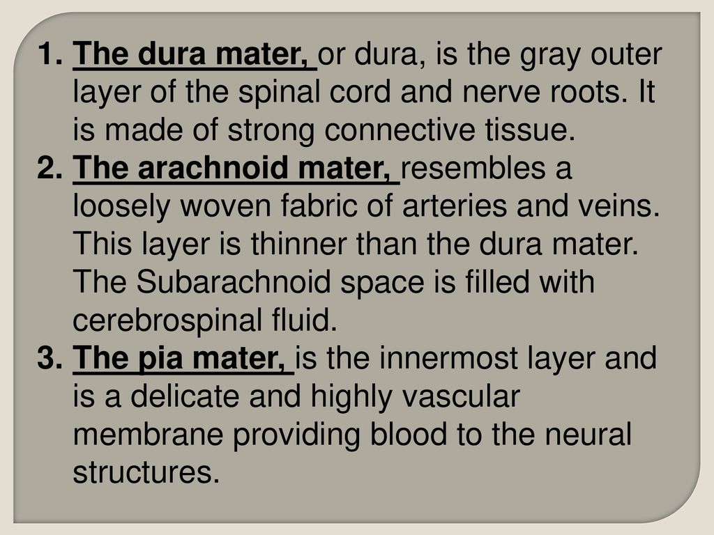 The dura mater, or dura, is the gray outer layer of the spinal cord and nerve roots. It is made of strong connective tissue.