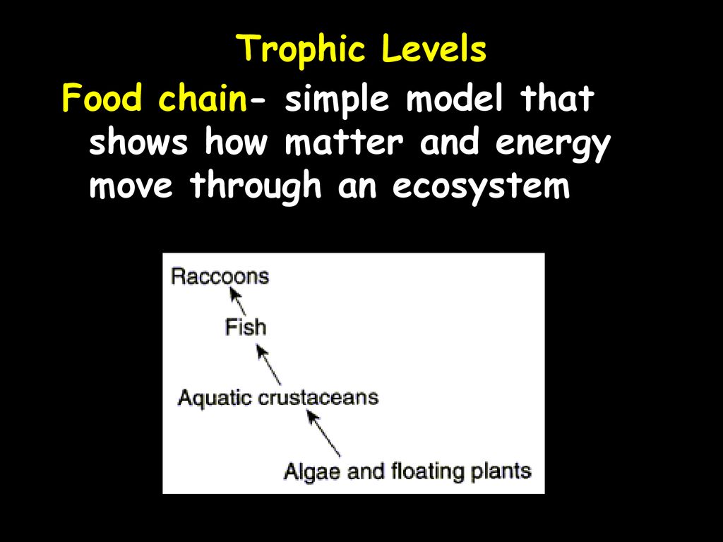 ppt download Biology Diagrams