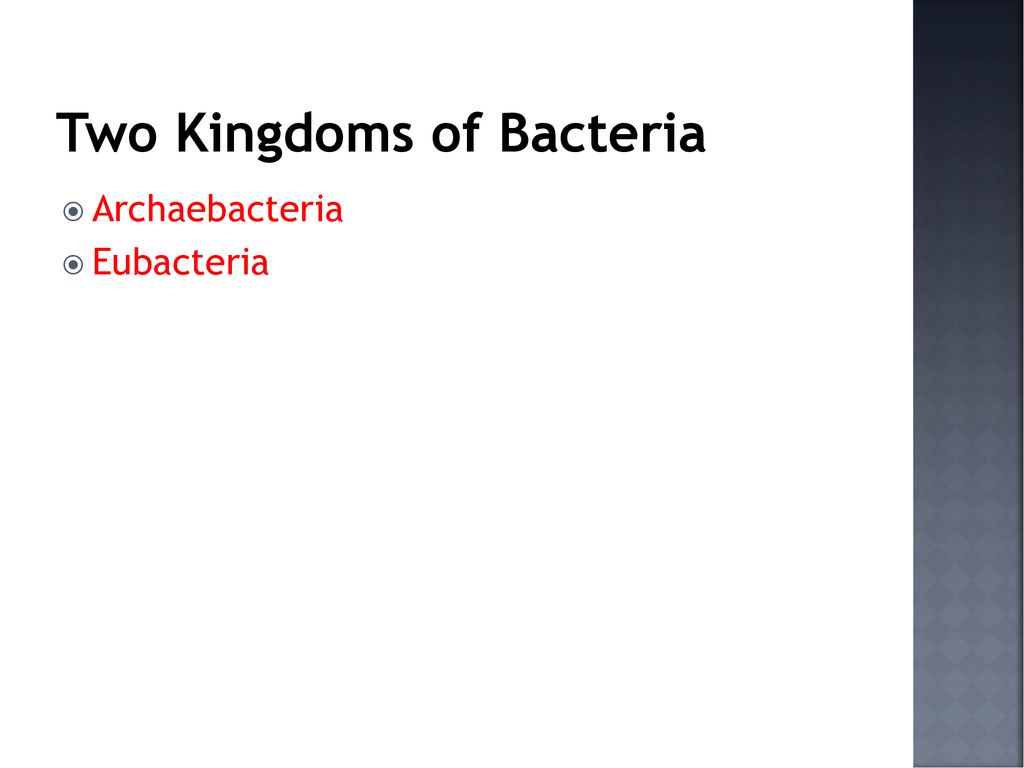 Bacteria And Viruses Section 1 Notes Ppt Download   Two Kingdoms Of Bacteria 