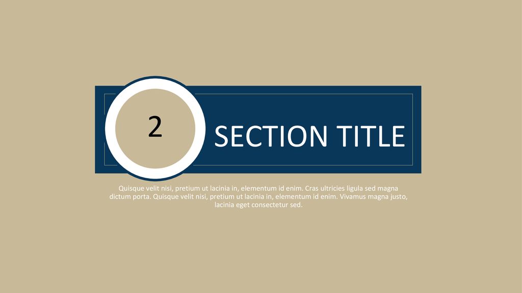 2 SECTION TITLE.
