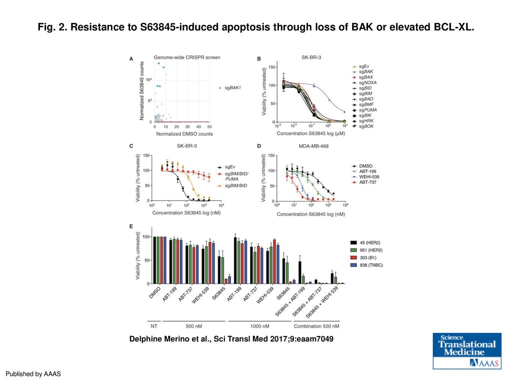 Fig. 2. Resistance to S63845-induced apoptosis through loss of BAK or elevated BCL-XL.