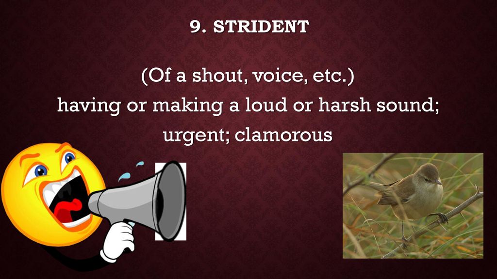 CHAPTER TWO VOCABULARY ppt download
