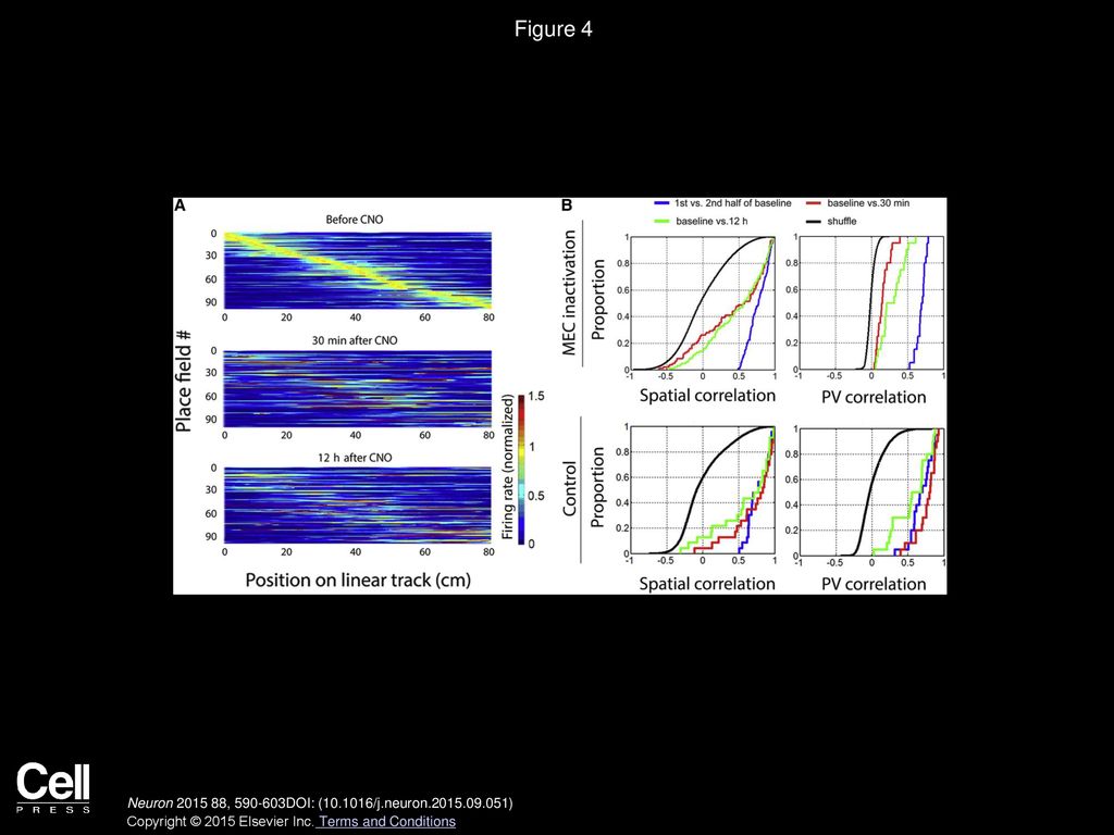 Figure 4 Partial Inactivation of MEC Induced Remapping in CA3 Place Cells.