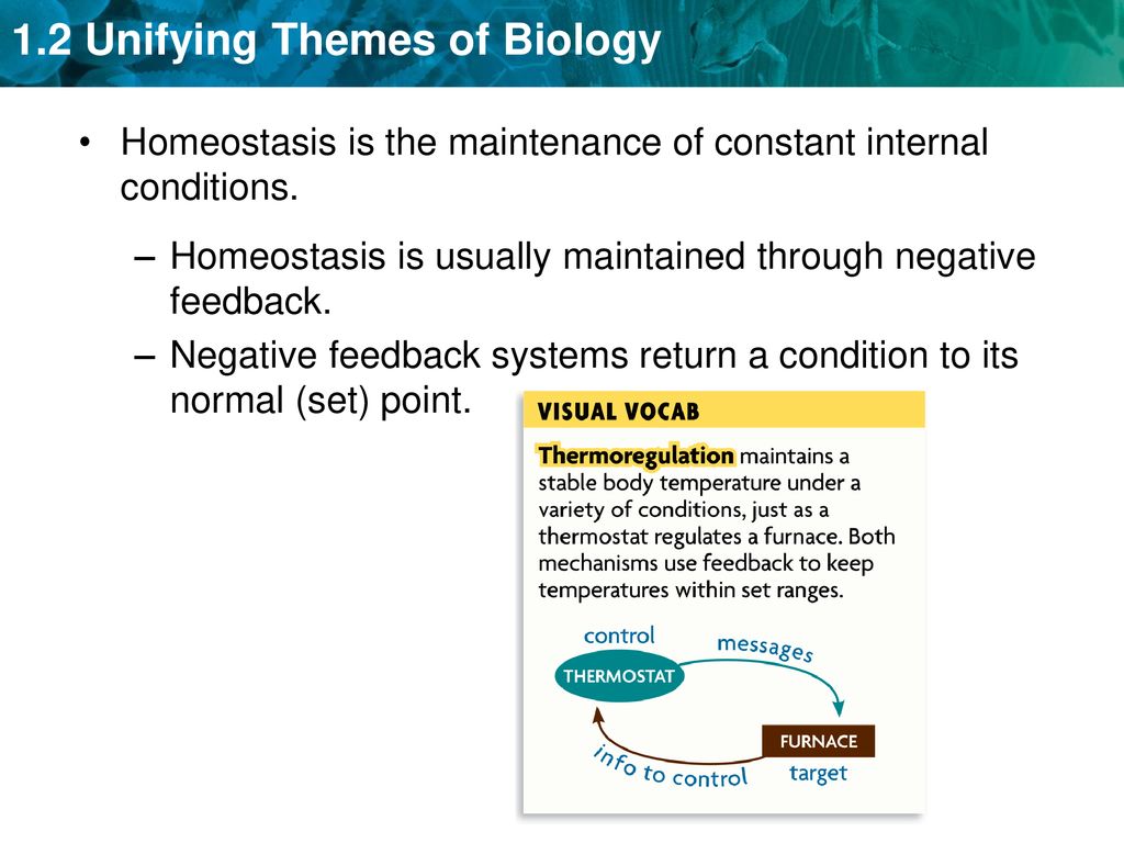 Homeostasis is the maintenance of constant internal conditions.