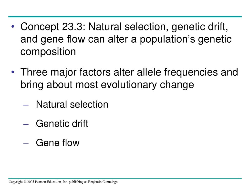 Concept 23.3: Natural selection, genetic drift, and gene flow can alter a population’s genetic composition