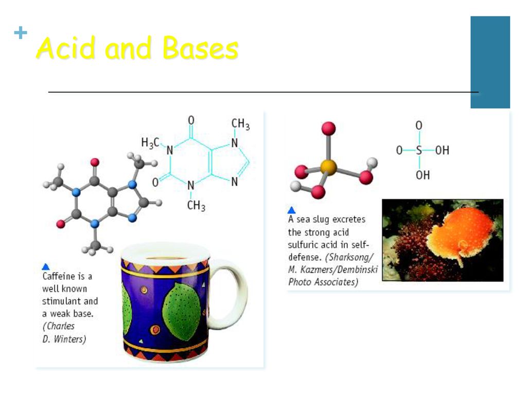 Bellwork 1.)Come Up With 2-3 Things You Know About Acids And Bases ...