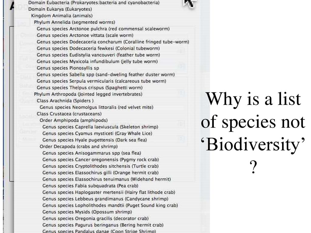Why is a list of species not ‘Biodiversity’