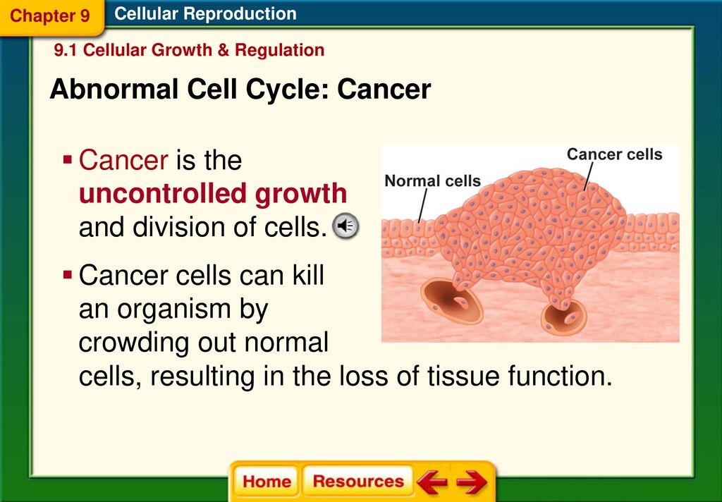 Cellular Growth (9.1) State Standard Biology Diagrams