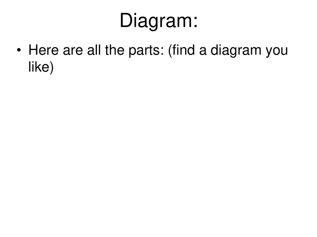 Diagram: Here are all the parts: (find a diagram you like)