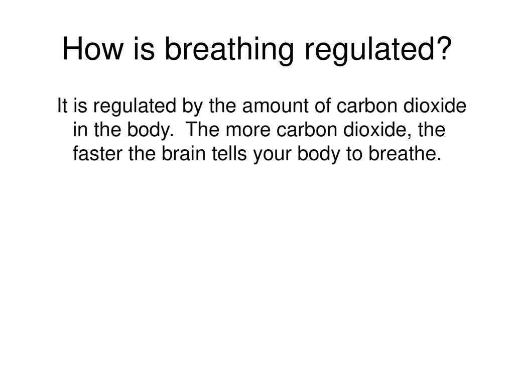 How is breathing regulated