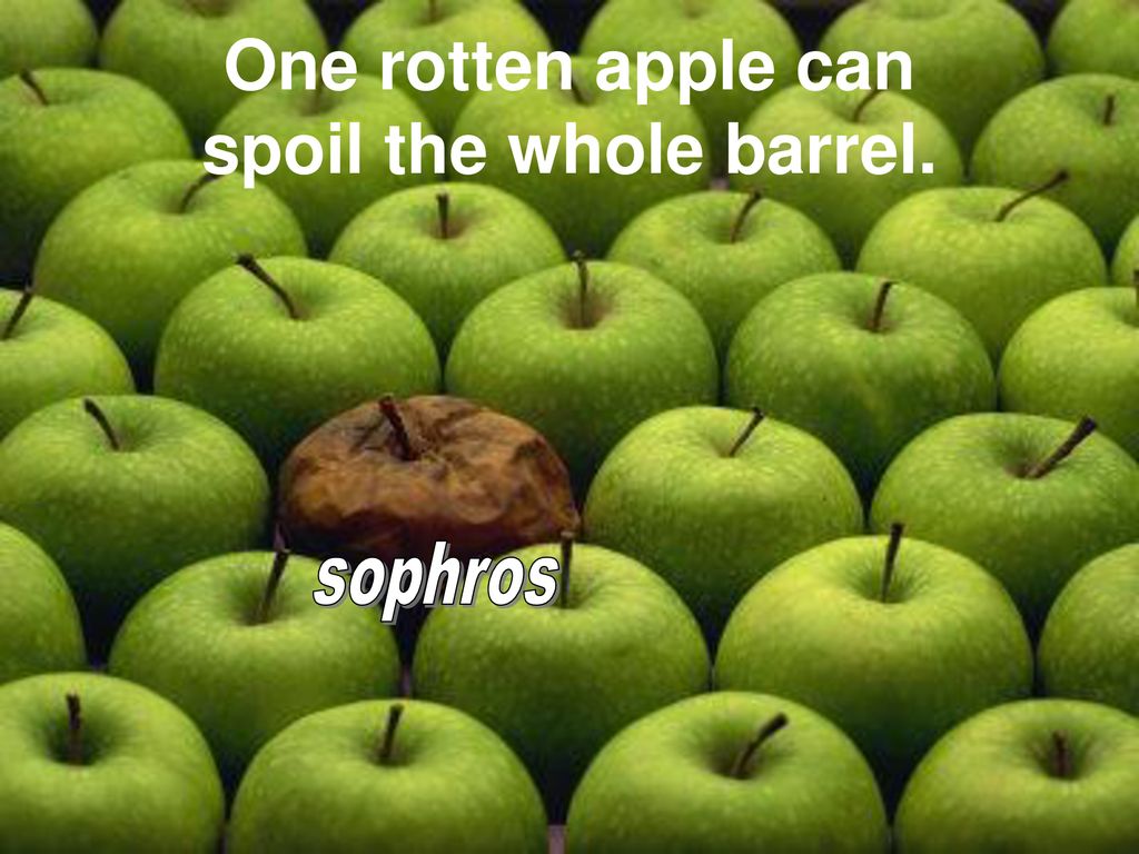 Can one rotten apple really spoil the whole barrel?  Office for Science  and Society - McGill University