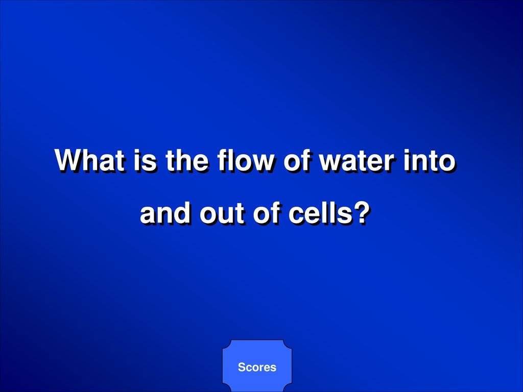 What is the flow of water into
