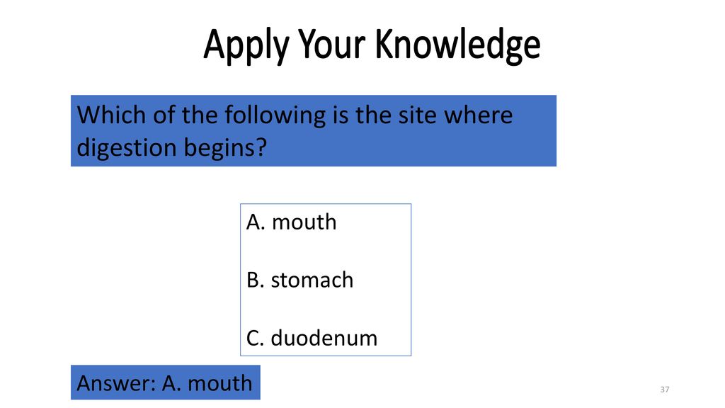 Apply Your Knowledge Part 2