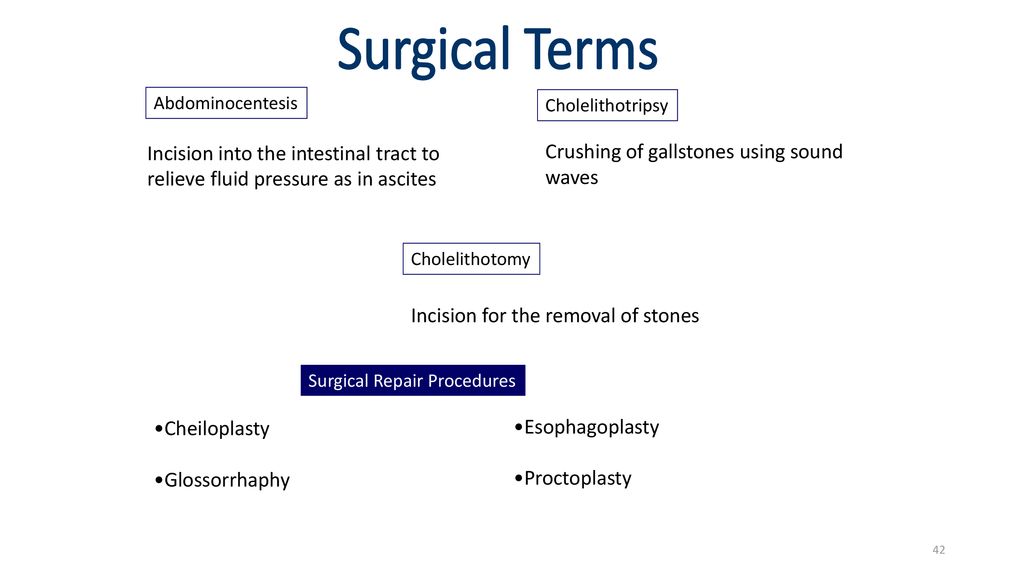 Surgical Terms Surgical Terms