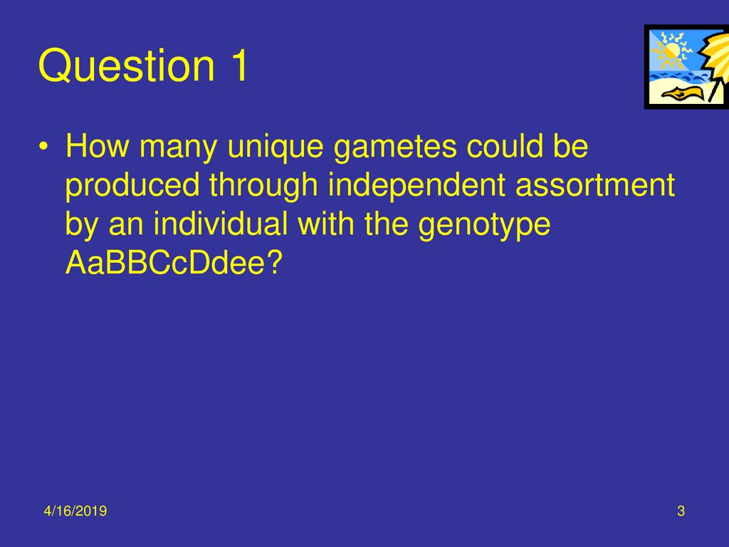 Question 1 How many unique gametes could be produced through independent assortment by an individual with the genotype AaBBCcDdee