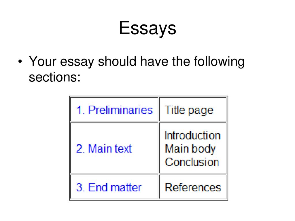 essay should have the following sections except