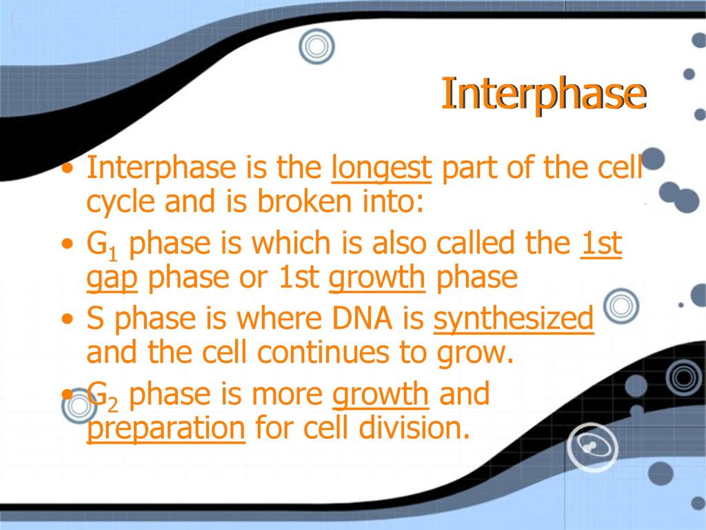 Chapter 12 The Cell Cycle. Biology Diagrams