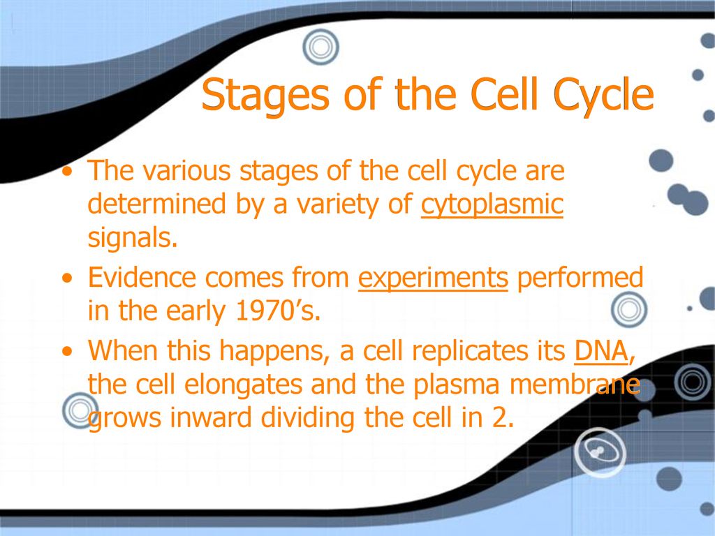 Chapter 12 The Cell Cycle Biology Diagrams