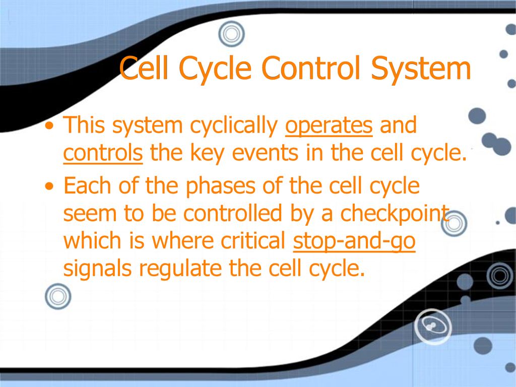 Chapter 12 The Cell Cycle. Biology Diagrams