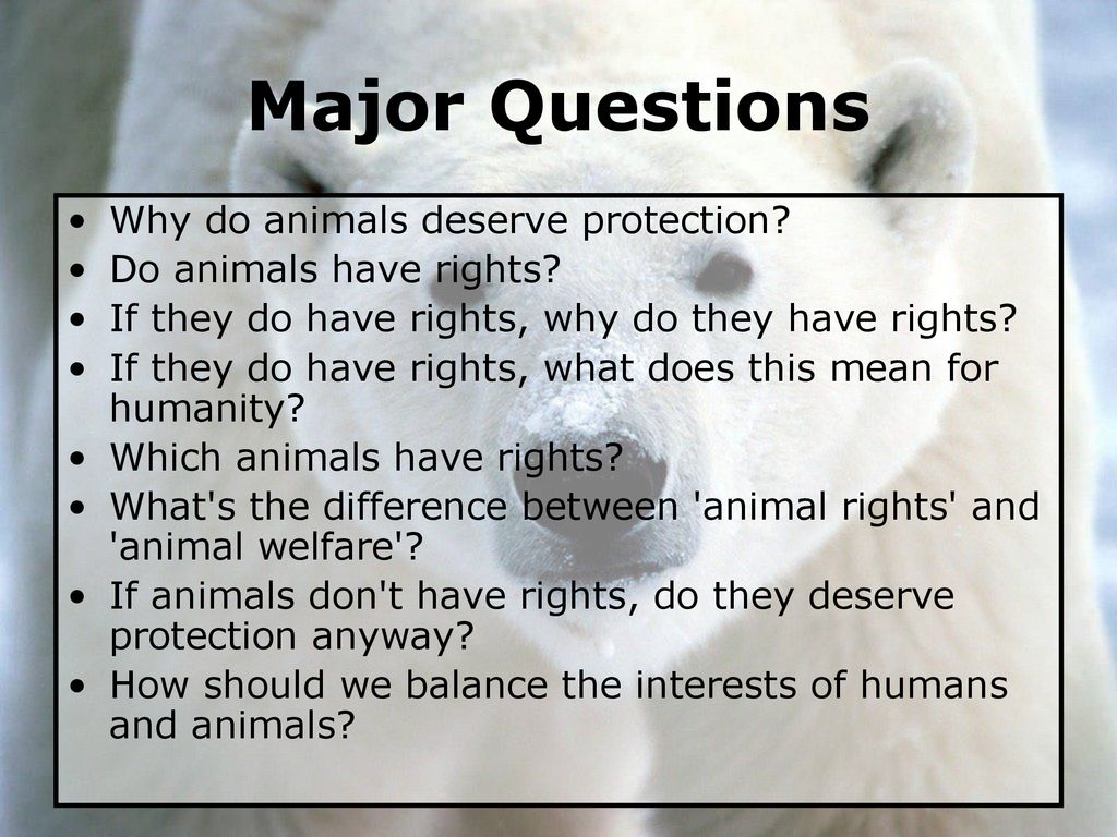 Should Animals Have Rights? - ppt download Should Animals Have Rights? - ppt download