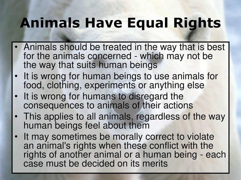 Should Animals Have Rights? - ppt download