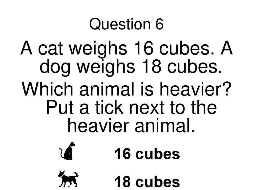 A cat weighs 16 cubes. A dog weighs 18 cubes.
