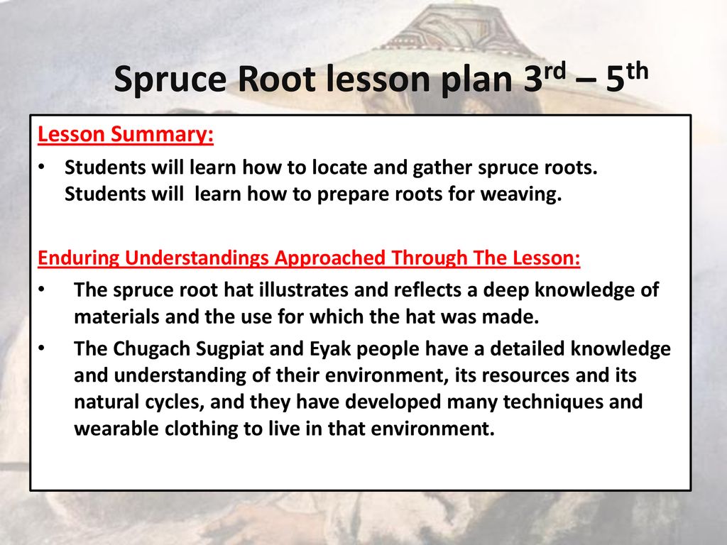 Spruce Root lesson plan 3rd – 5th