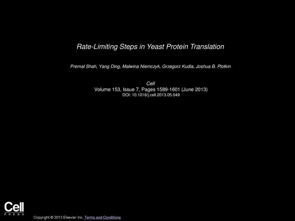 Rate Limiting Steps In Yeast Protein Translation