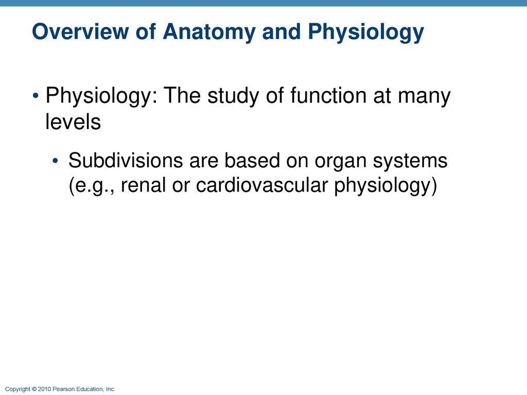The Human Body: An Orientation: Part A Biology Diagrams