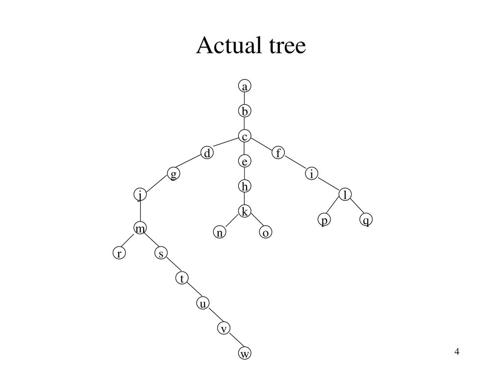 Dynamic Trees Steator And Tarjan Ppt Download